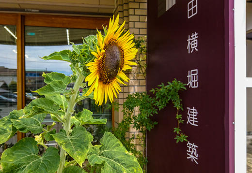 夏季休業のお知らせ