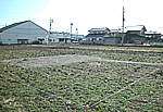 2010年2月