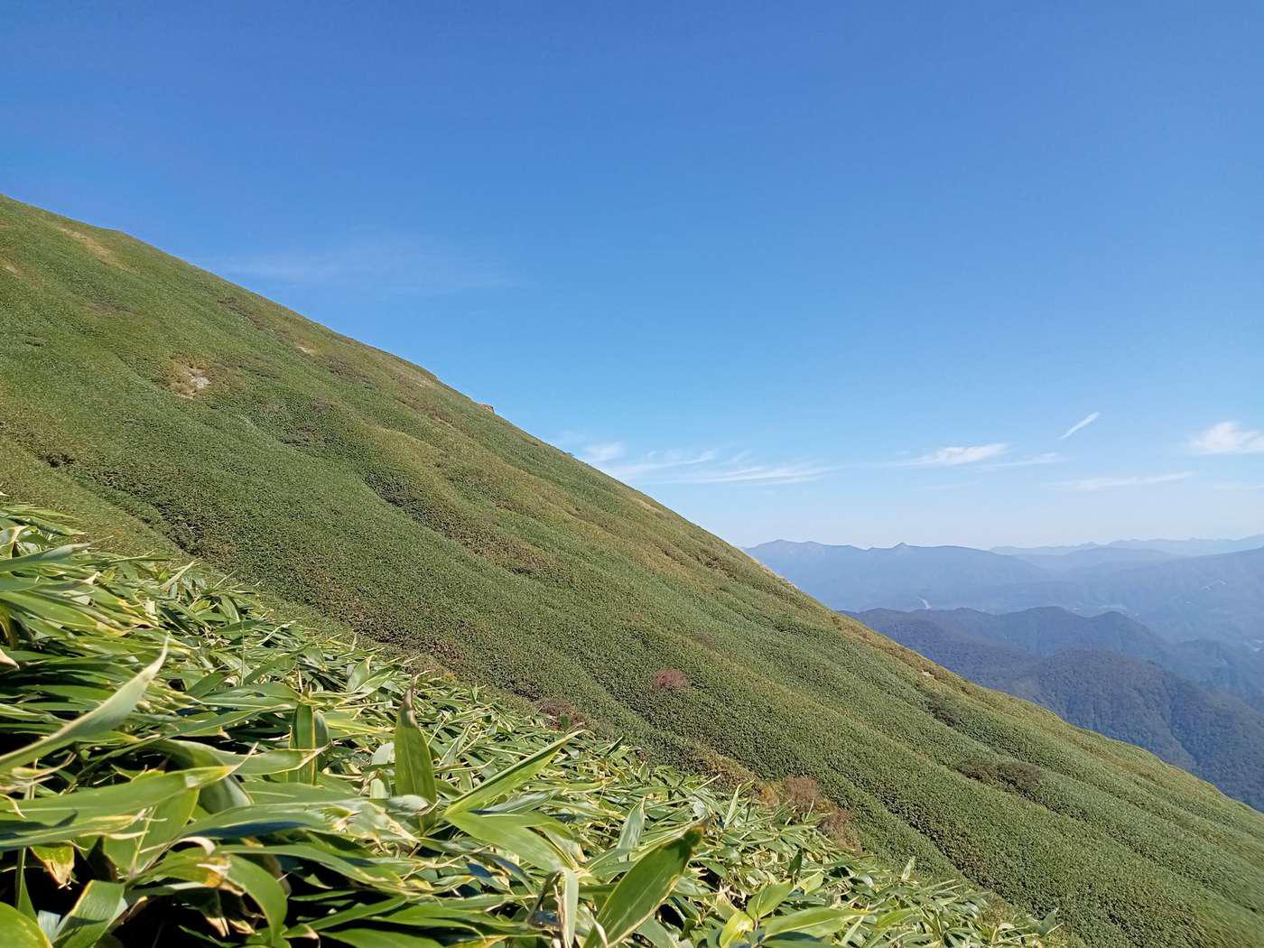 秋　谷川岳笹原